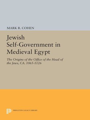 cover image of Jewish Self-Government in Medieval Egypt
